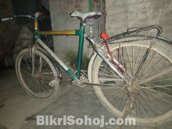 bicycle at low price